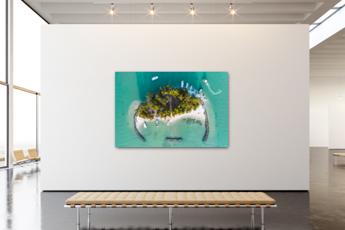 Snake Island_Gallery Room Example_Epic Print